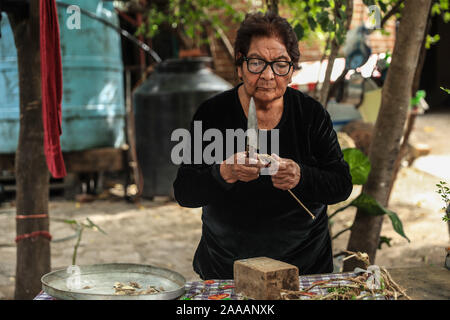 Frau Maria Eloísa Millan Anduaga Schnitte mit einem Messer die Wurzel einer Pflanze namens Zorrillo für sein starkes Aroma, das Sie verkauft Sinusitis im La Aduana Gemeinschaft in Alamos, Sonora Mexiko zu bekämpfen. Die traditionelle Medizin. Alternative Medizin. © (© Foto: LuisGutierrez/NortePhoto.com) La Señora Maria Eloísa Millan Anduaga corta con un cuchillo La raíz de una Planta que llama Zorrillo por su fuerte Aroma, La cual Vende para combatir el Sinusitis en la Comunidad de La Aduana Alamos, Sonora Mexico. Medicina tradicional. Medicina alternativa. © (© Foto: LuisGutierrez/NortePhoto.com) Stockfoto