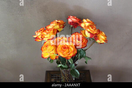 Ein Dutzend bunten Zirkus Rosen (gelb mit orange und rot Tipps) in einem Glas Vase auf einem braunen Fliesen- Ende Tabelle mit den braunen Hintergrund Stockfoto