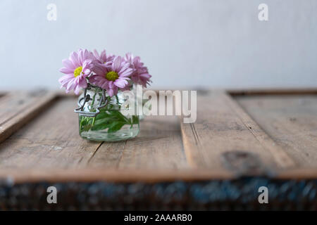 Rosa Astern in ein kleines Glas Vase auf einem hölzernen schäbig rustikalen Kabinett vor eine weiße Wand Stockfoto