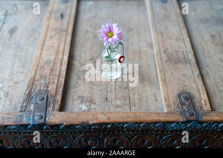 Single aster in ein kleines Glas Flasche von oben auf eine schäbige rustikalen Holzgehäuse Stockfoto