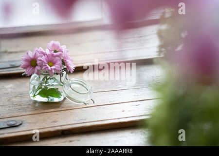 Sommer Blumen in ein kleines Glas Topf von oben auf einem urigen Holzgehäuse, unscharfe Blumen im Vordergrund Stockfoto