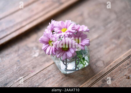 Lila astern von oben in ein kleines Glas Vase auf einem schäbigen Holz- cracky Möbel, Nahaufnahme Stockfoto