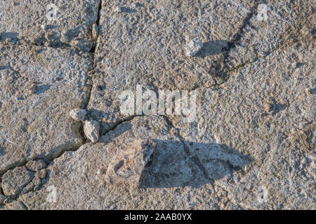 Risse im rauhen Cement Oberfläche mit Winter Sonne Schatten auf Spalten. Metapher Risse erscheinen, gebrochen, Infrastruktur, holperig, Zement Textur. Stockfoto