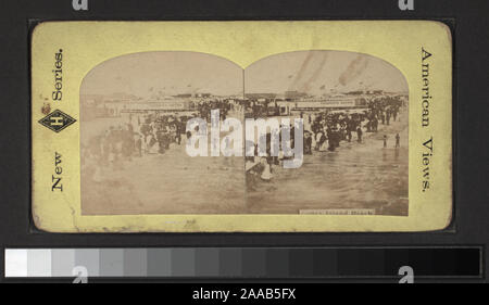 Blick von Anthony, Keystone, Strohmeyer & Wyman und andere Fotografen und Verlage. Robert Dennis Sammlung von stereoskopische Ansichten. Titel von Cataloger'. Blick auf Coney Island, Brighton und Manhattan Strände: am Strand, im Wasser, einer Ansicht, ertranken Junge, Rettern und Zuschauern, Bänke, Bügeleisen Pier, Oriental Hotel und ein Fahrgeschäft, das Razzle Dazzle bei Coney Island; Musik Pavillon, Spazierwege, Hotel Brighton, Feltman's Hotel in Brighton Beach, Manhattan Beach Hotel, Notenständer, Mautstelle auf Shell Straße.; Coney Island Beach. Stockfoto