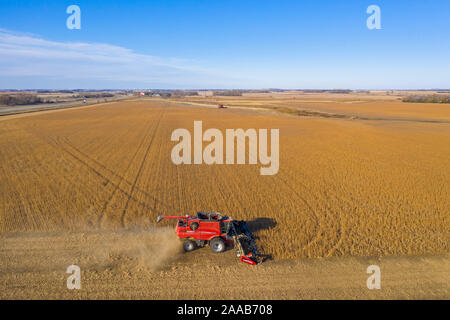 Valley City, North Dakota - Mähdrescher bei der Ernte von Sojabohnen Noeske Saatgut Farm. Die Sojabohnen werden durch Unternehmen, die Saatgut für das nächste Jahr ist die Ernte verkauft werden. Stockfoto