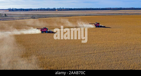 Valley City, North Dakota - Mähdrescher bei der Ernte von Sojabohnen Noeske Saatgut Farm. Die Sojabohnen werden durch Unternehmen, die Saatgut für das nächste Jahr ist die Ernte verkauft werden. Stockfoto