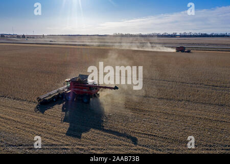 Valley City, North Dakota - Mähdrescher bei der Ernte von Sojabohnen Noeske Saatgut Farm. Die Sojabohnen werden durch Unternehmen, die Saatgut für das nächste Jahr ist die Ernte verkauft werden. Stockfoto