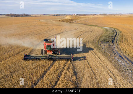 Valley City, North Dakota - Mähdrescher bei der Ernte von Sojabohnen Noeske Saatgut Farm. Die Sojabohnen werden durch Unternehmen, die Saatgut für das nächste Jahr ist die Ernte verkauft werden. Stockfoto