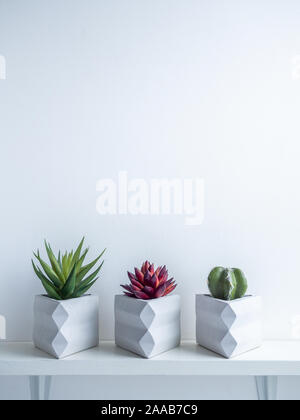 Cactus pot. Konkrete pot. Kakteen und Sukkulenten in modernen Dreieck geometrische konkrete Pflanzer auf weißen Holzregal isoliert auf weißem backgroun Stockfoto