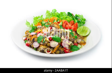 Herzmuscheln würzigen Salat (Venusmuscheln) mit thailändischen Kräutern Vorspeise asiatische Gericht. Thai Food Spicy Stil dekorieren mit geschnitztem Gemüse, Karotten Seitenansicht Stockfoto