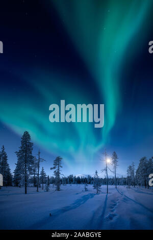 Mond und Northern Lights oben Pallas Fells mit frischem Schnee im winter nacht in Pallas-Yllästunturi-Nationalpark in Muonio, Finnland Stockfoto