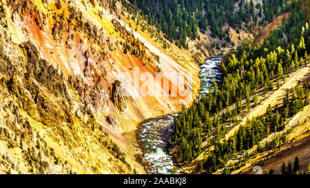 Der Yellowstone River fließt durch den Grand Canyon im Yellowstone im Yellowstone National Park in Wyoming, Vereinigte Staaten von Amerika Stockfoto