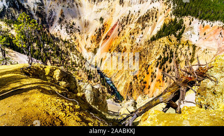 Der Yellowstone River fließt durch den Grand Canyon im Yellowstone im Yellowstone National Park in Wyoming, Vereinigte Staaten von Amerika Stockfoto