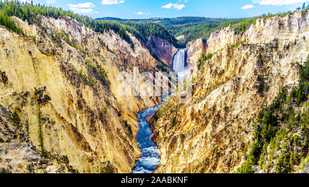 Die Upper Falls des Yellowstone River fließt durch den gelben und orangen Sandstein Felsen im Grand Canyon im Yellowstone, Wyoming, USA Stockfoto