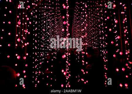 LONDON, ENGLAND, Großbritannien - 04 Januar 2019: Weihnachtsbeleuchtung Anzeige in der Nacht in Kew Royal Botanic Gardens, London, UK Stockfoto