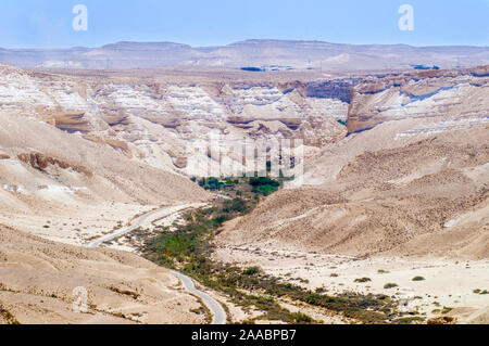 Israel, Negev, Kibbuz Sde Boker Blick auf Ein Ovdat und das Wadi Zin Tal Stockfoto