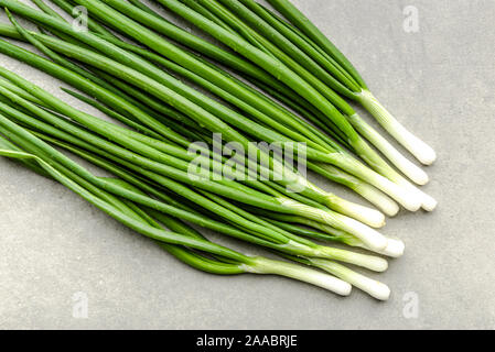 Frische grüne Zwiebel Bündel, sauberes Gemüse, frisch geernteten Garten produzieren. Bauernhof frische Zwiebeln mit Feder Schnittlauch. Stockfoto