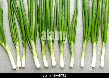 Frische Frühlingszwiebeln mit grün Schalotten. Bauernhof frische organische grünes Gemüse, Flach, Ansicht von oben. Stockfoto