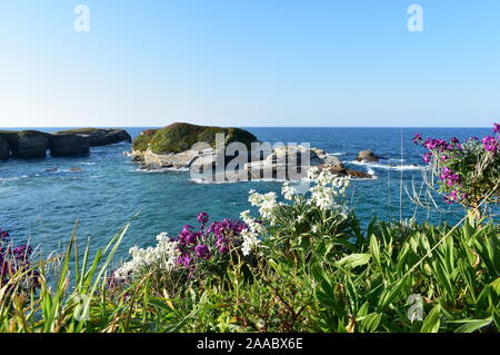 Blick von der Klippe mit Inseln, Gras und Blumen. Ribadeo, Provinz Lugo, Spanien. Stockfoto