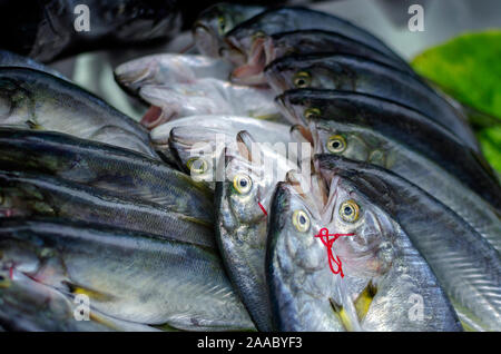 Verschiedene Fische auf dem Zähler Fish shop Stockfoto