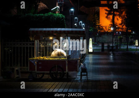 Straße Verkäufer von Fast Food mit gekochtem und gegrilltem Mais und Kastanie auf traditionelle türkische Warenkorb in der Nähe von Sultanahmet Stockfoto