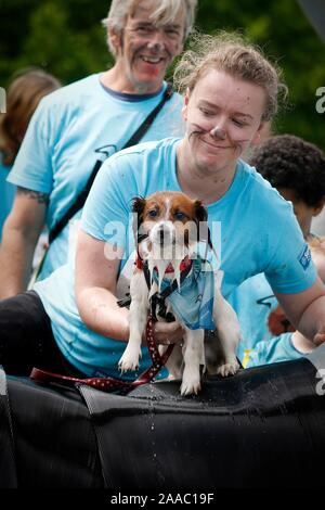Hunde und ihre Besitzer, die sich in den schlammigen Hund Herausforderung, Bekämpfung einen Hindernisparcours beim Gassi, alle in Hilfe von Battersea Hunde zuhause, in S Stockfoto