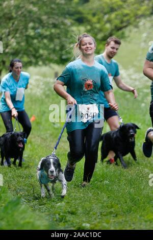 Hunde und ihre Besitzer, die sich in den schlammigen Hund Herausforderung, Bekämpfung einen Hindernisparcours beim Gassi, alle in Hilfe von Battersea Hunde zuhause, in S Stockfoto