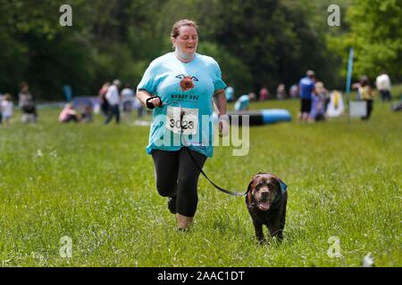 Hunde und ihre Besitzer, die sich in den schlammigen Hund Herausforderung, Bekämpfung einen Hindernisparcours beim Gassi, alle in Hilfe von Battersea Hunde zuhause, in S Stockfoto