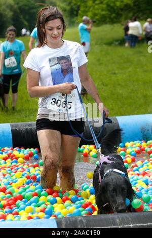 Hunde und ihre Besitzer, die sich in den schlammigen Hund Herausforderung, Bekämpfung einen Hindernisparcours beim Gassi, alle in Hilfe von Battersea Hunde zuhause, in S Stockfoto