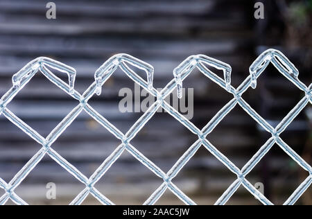 Eis auf einem Zaun aus Metall Gitter. Eisregen im Winter. Atmosphärische Phänomene der Natur. Close Up. Stockfoto