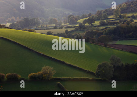 Clun Tal in der Nähe von Whitcott Keysett, Shropshire, England, Großbritannien Stockfoto