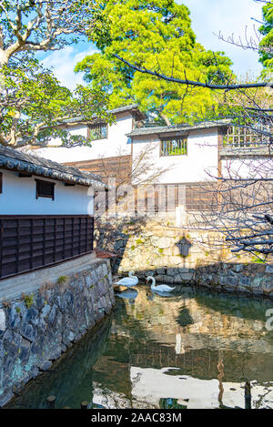 Wilden Schwan Schwimmen im Burggraben von Kurashiki Bikan Historischen Viertel. Okayama, Japan Stockfoto