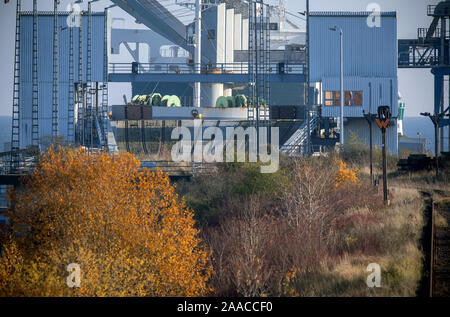 Sassnitz, Deutschland. 12 Nov, 2019. Blick auf den Hafen Mukran, die als Teil der chinesischen Seidenstraße Initiative zu dienen. Zum ersten Mal auf der ganzen Strecke zwischen Deutschland und China, Teil der Reise wird durch das Meer zwischen den Häfen von Mukran und Baltysk in der Region Kaliningrad. Ein Schiff mit den ersten 41 Behältnisse mit einem Test Train, die Anfang November in Xi'an begonnen hatte, wurde entladen in Mukran. Credit: Jens Büttner/dpa-Zentralbild/ZB/dpa/Alamy leben Nachrichten Stockfoto