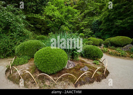 Japan, Honshu Island, Region Kansai, Kyoto, Shisen - Tempel Stockfoto