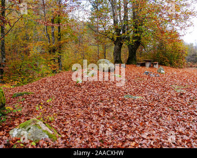 Picknick Platz in Stara Planina, Bulgarien. Herbst, November. Laub von Jahrhunderte alten Bäumen haben den Boden bedeckt. Holz- primitiven Tabelle und Stockfoto