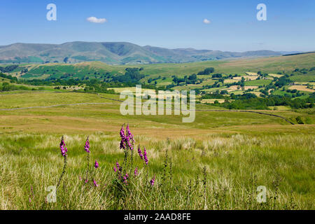 Der Blick über dentdale von Beruf Straße in den Yorkshire Dales National Park mit Howgill dahinterliegenden Berge, Cumbria, England. Stockfoto