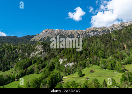 Alpine Mountain mit grüner Wiese, Wald und kleinen Häuser davor im Sommer in Deutschland Stockfoto