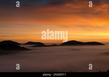 Schwarzwald, Nebelstimmung, Schauinsland, Stockfoto