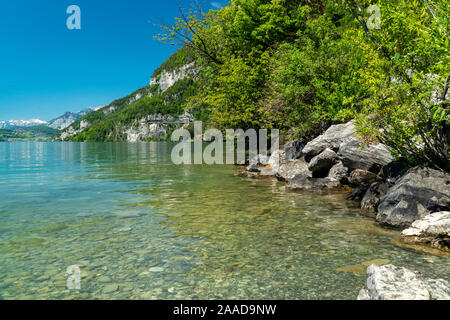 Klassische Panoramablick auf einem See an einem sonnigen Tag im Sommer, Deutschland Stockfoto