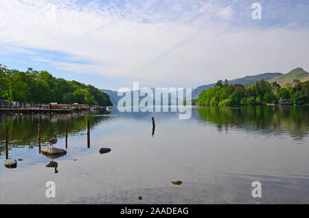 Derwent Water, Keswick, im Frühsommer, Cumbria Stockfoto