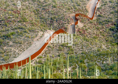 Grenzmauer errichtet aus geschweißtem Stahl, zwischen Arizona und Sonora, Mexiko schneiden Durch die Sonora Wüste. Pinacate und Grand Desert Biosphärenreservat, Mexiko. Januar 2009. Stockfoto