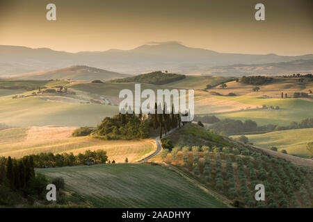 Typische Landschaft in der Toskana, mit dem Bauernhaus "Belvedere" in der Nähe von San Quirico d'Orcia, Italien, Juni. Stockfoto