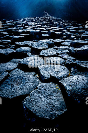 Giants Causeway in der Nacht, erleuchtet von Vollmond. County Antrim, Nordirland. Sieger der Landschaften Kategorie der GDT Europäischer Naturfotograf des Jahres 2017. Stockfoto