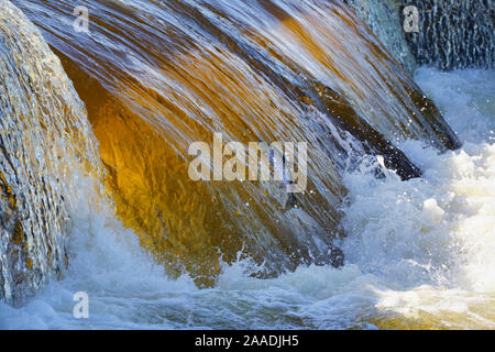 Atlantischer Lachs (Salmo salar) springen Wasserfall während der laichwanderung Upstream, Fluss Ume, Schweden. Juli. Für die Süßwasser-Projekt fotografiert. Stockfoto