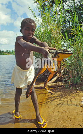 Junge holding Goliath Frosch (Conraua goliath) Sanaga, Kamerun. Nach Buschfleisch/Essen gejagt Stockfoto