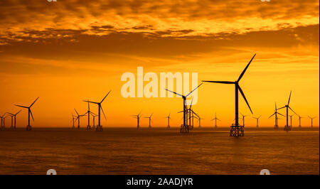 Windkraftanlagen für den Windpark Thorntonbank, Offshore-Windpark vor der belgischen Küste in der Nordsee bei Sonnenuntergang Stockfoto