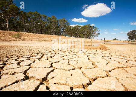 Wasserloch des Bauern auf dem Bauernhof fast ausgetrocknet während der Dürre, dauerte von 1996-2011. Shepperton, Victoria, Australien. Februar 2010. Stockfoto