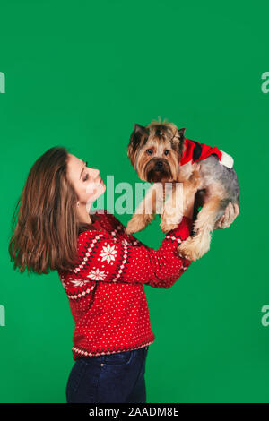 Stilvolle junge Frau in einem Weihnachten Pullover Holding einen Hund auf einem grünen Hintergrund. Yorkshire Terrier gekleidet in Weihnachten Kleidung. Stockfoto