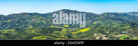 Luftaufnahme der ländlichen Archanes region Landschaft. Einzigartige landschaftliche Panorama Olivenhaine, Weinberge, Wiesen und Hügel Aussicht im Frühjahr. Heraklion Stockfoto