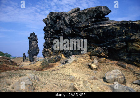 Bundesrepublik Deutschland, Sachsen-Anhalt, Teufelsmauer, Naturschutzgebiet zwischen Quedlinburg und Thale im Harz, Sachsen-Anhalt, Erstes Naturschutzge Stockfoto